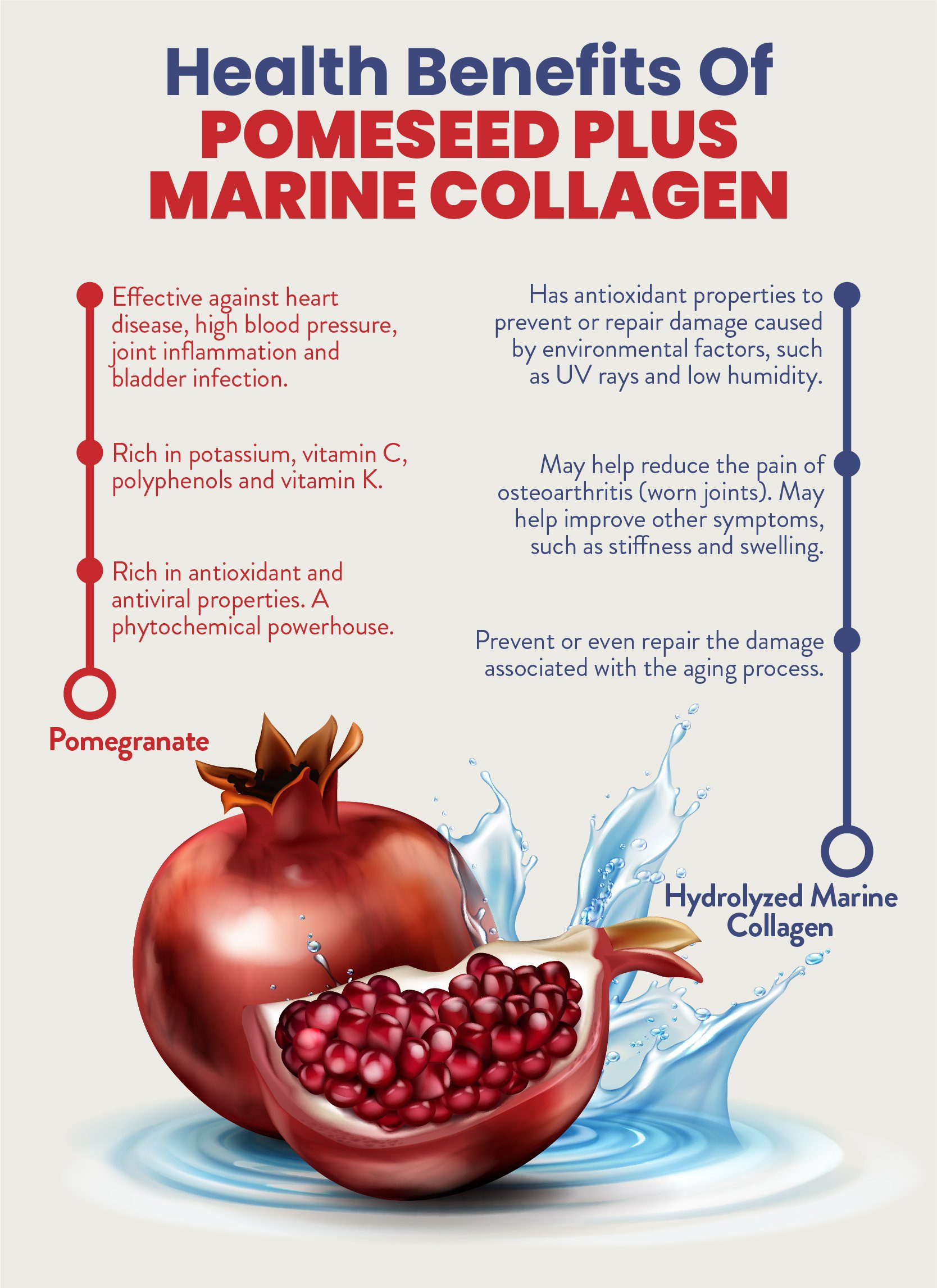 pomeseed-26_A7_Artboard 7